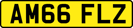 AM66FLZ