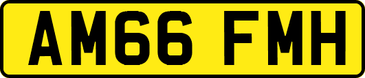 AM66FMH