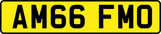 AM66FMO