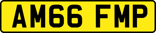 AM66FMP