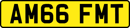 AM66FMT