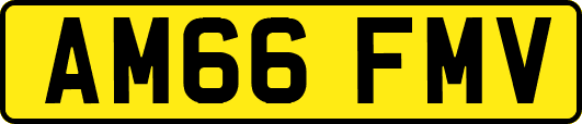 AM66FMV