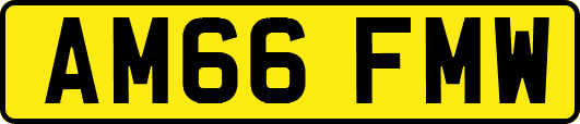 AM66FMW