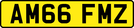 AM66FMZ