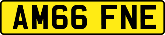 AM66FNE