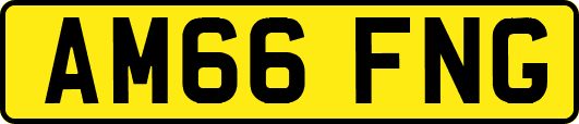 AM66FNG