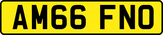 AM66FNO