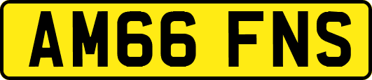 AM66FNS