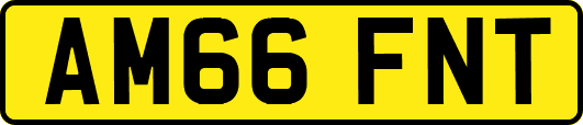 AM66FNT