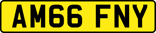 AM66FNY