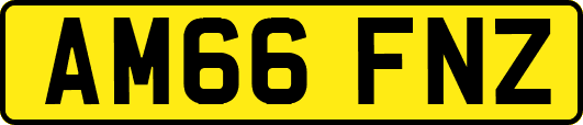 AM66FNZ