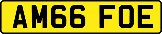 AM66FOE