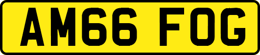 AM66FOG