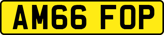 AM66FOP