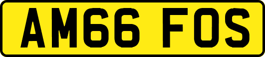 AM66FOS