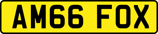 AM66FOX
