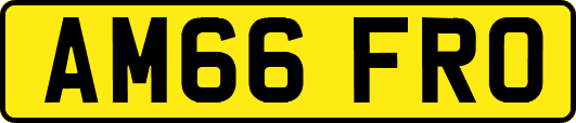 AM66FRO