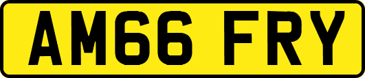 AM66FRY