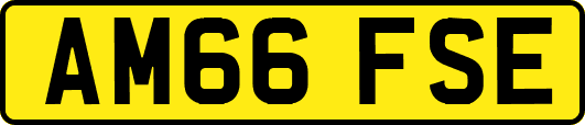 AM66FSE
