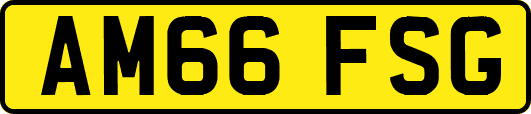 AM66FSG