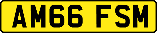 AM66FSM