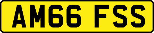 AM66FSS