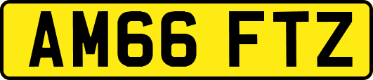 AM66FTZ