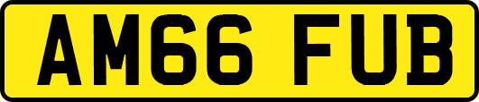 AM66FUB
