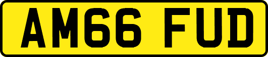 AM66FUD
