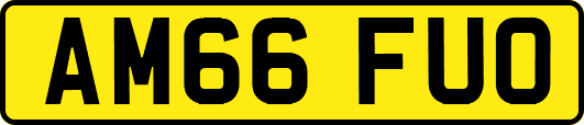 AM66FUO