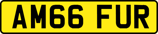 AM66FUR