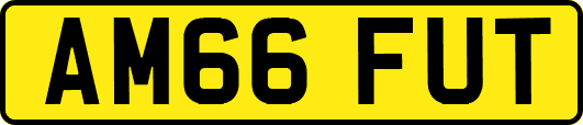 AM66FUT
