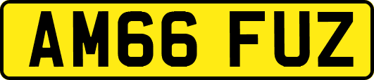AM66FUZ