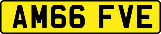 AM66FVE