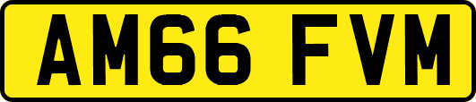AM66FVM