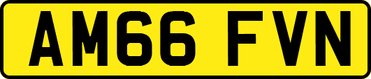 AM66FVN