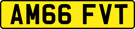 AM66FVT