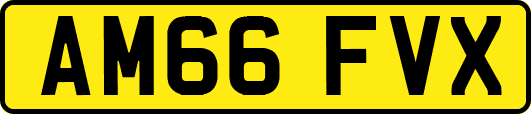 AM66FVX