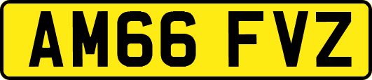 AM66FVZ