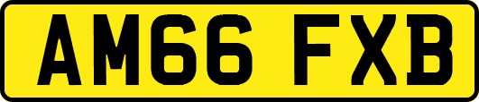 AM66FXB