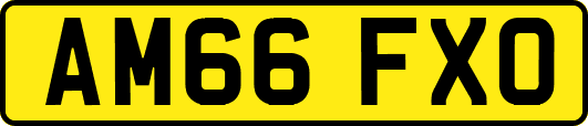 AM66FXO