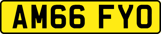 AM66FYO