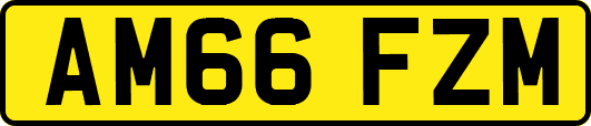 AM66FZM