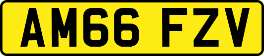 AM66FZV