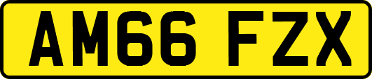 AM66FZX