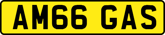 AM66GAS