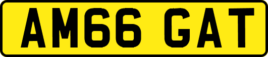 AM66GAT