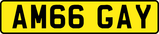 AM66GAY
