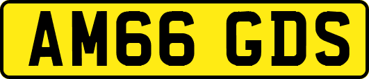 AM66GDS