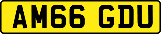 AM66GDU